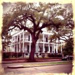 Garden District1